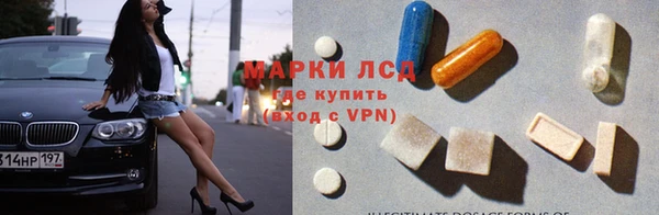 хмурый Алзамай