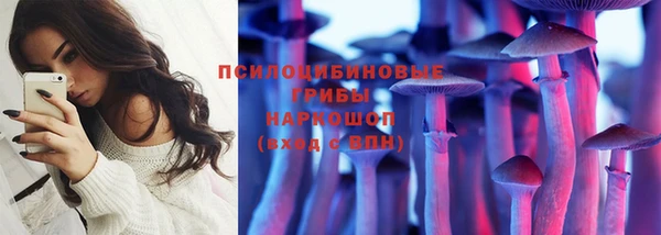 mix Алексин