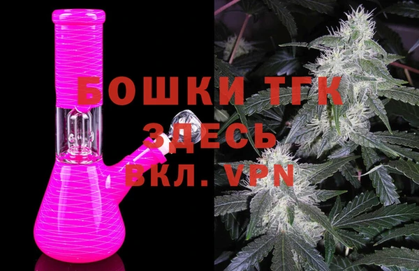 дживик Абаза
