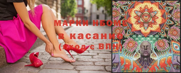 хмурый Алзамай