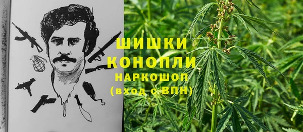 хмурый Алзамай
