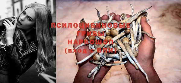 хмурый Алзамай