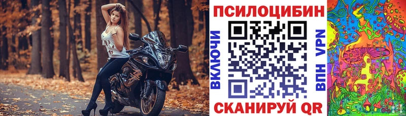 как найти закладки  площадка официальный сайт  Галлюциногенные грибы Cubensis  Черемхово 