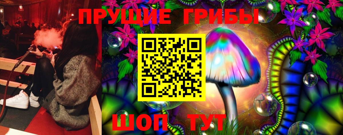 Псилоцибиновые грибы Cubensis Черемхово